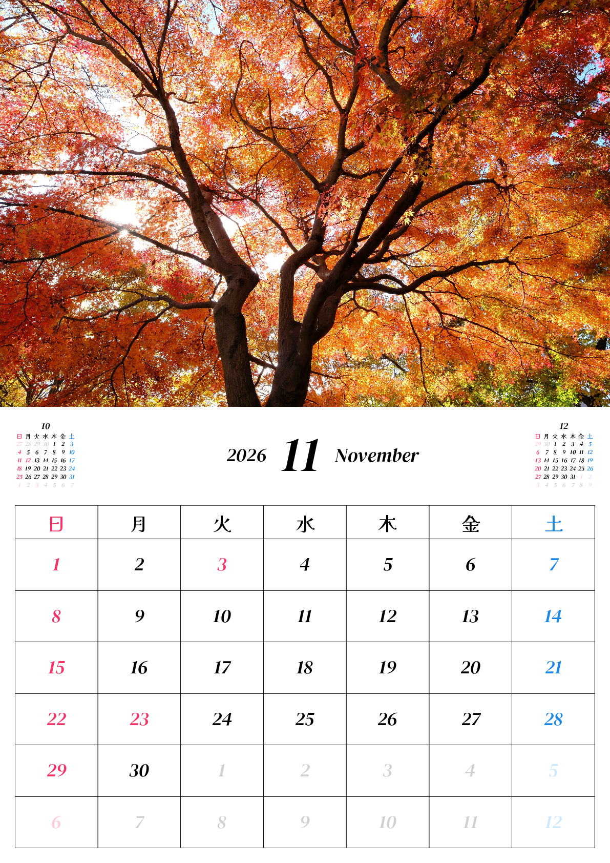 A判（A4,A5 など）,縦向き,１ヶ月,日曜始まり,写真入り