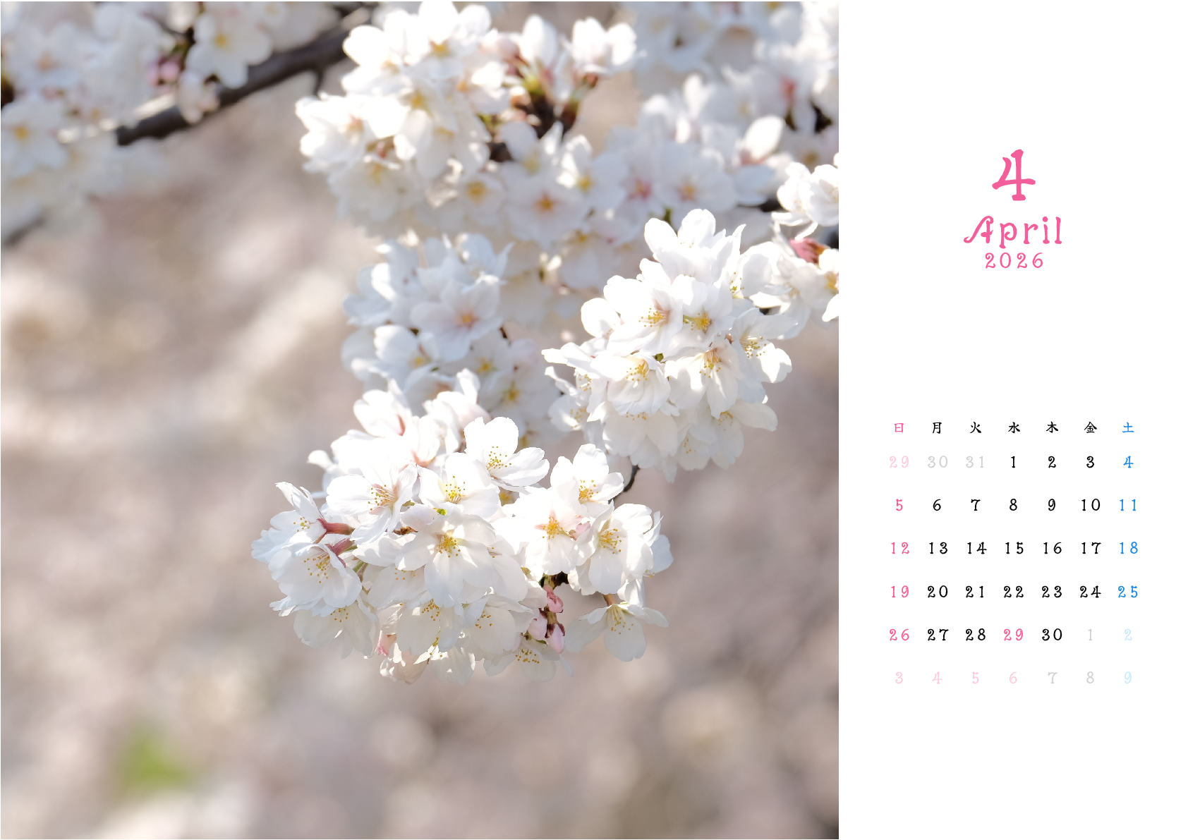 A判（A4,A5 など）,横向き,１ヶ月,日曜始まり,写真入り