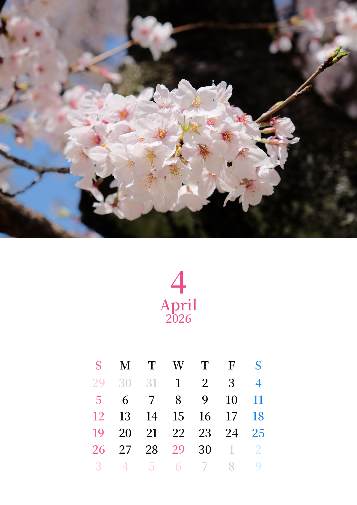 A判（A4,A5 など）,縦向き,１ヶ月,日曜始まり,写真入り