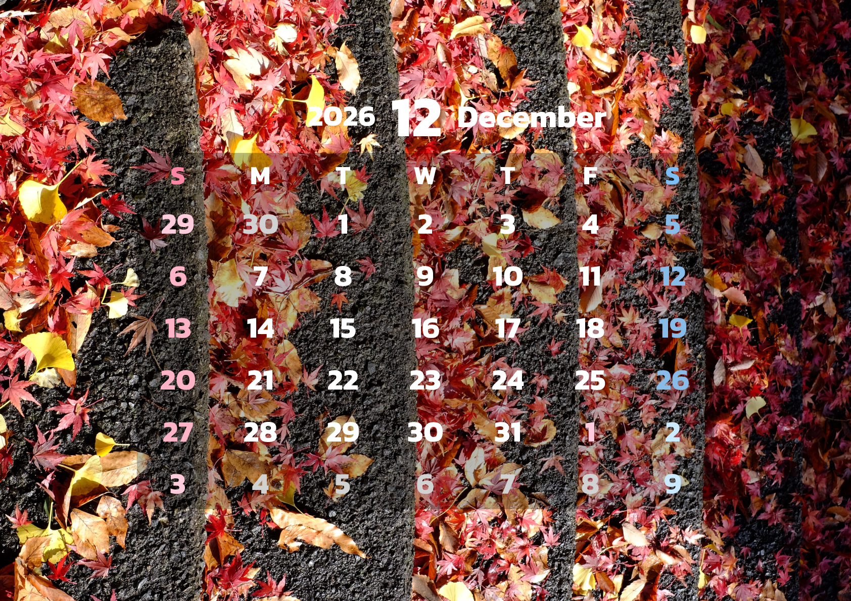 A判（A4,A5 など）,横向き,１ヶ月,日曜始まり,背景全面写真入り