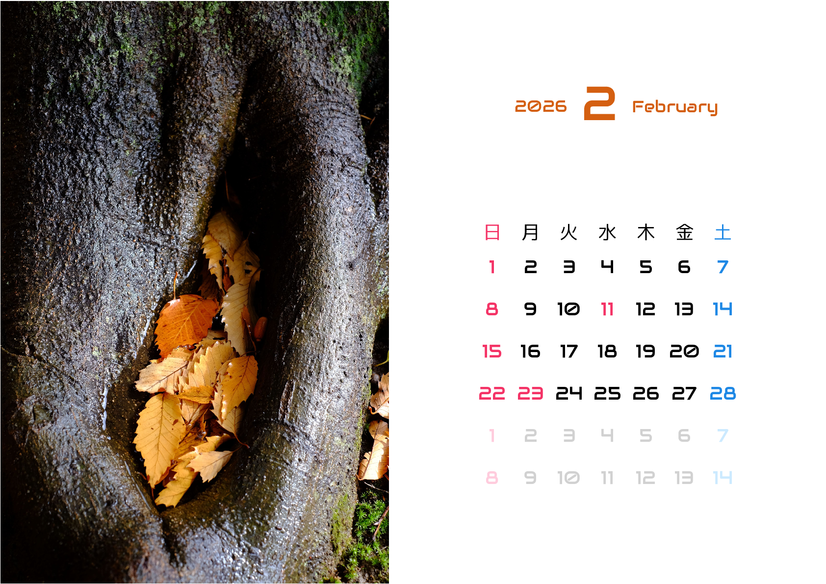 A判（A4,A5 など）,横向き,１ヶ月,日曜始まり,写真入り