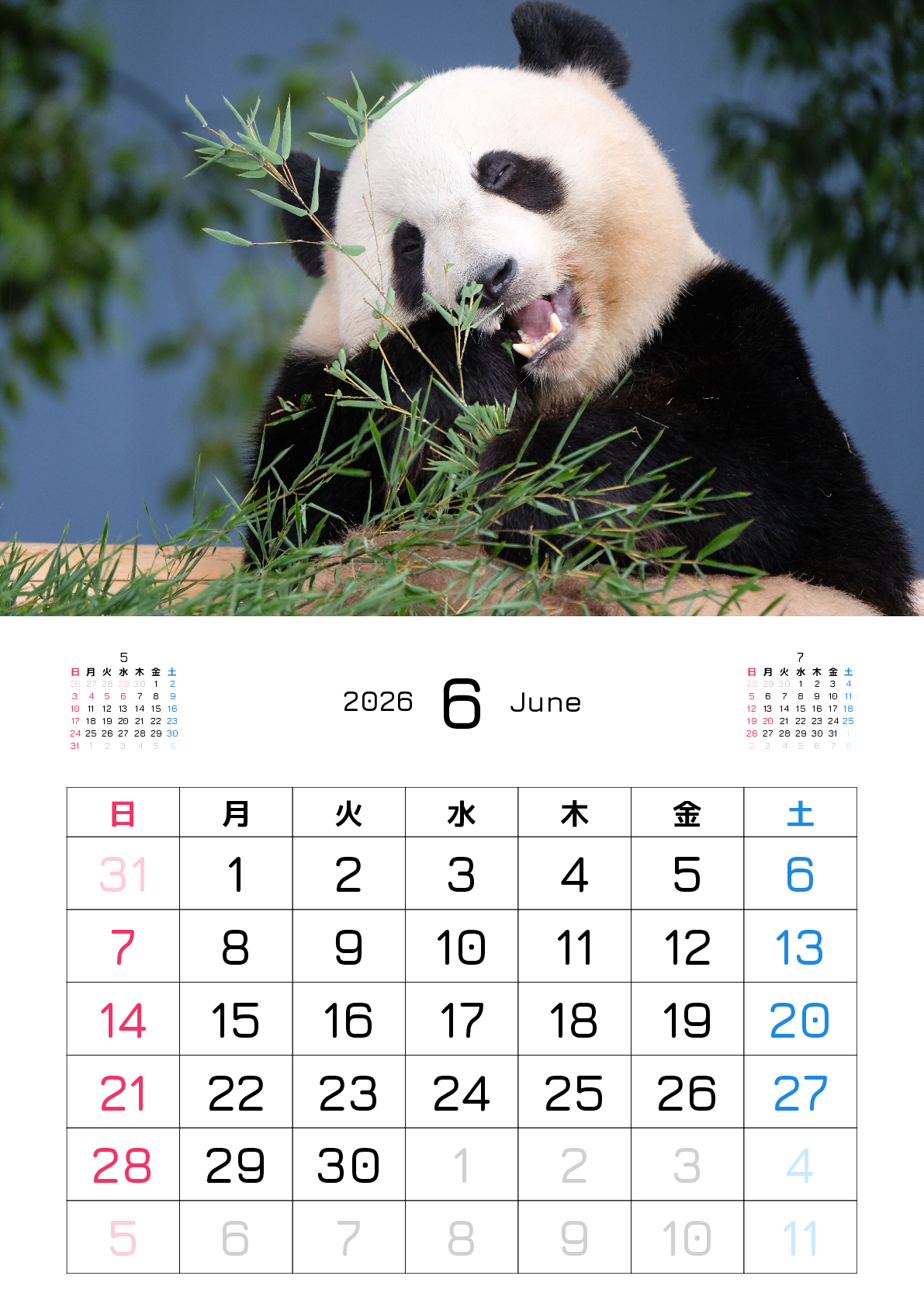 A判（A4,A5 など）,縦向き,１ヶ月,日曜始まり,写真入り