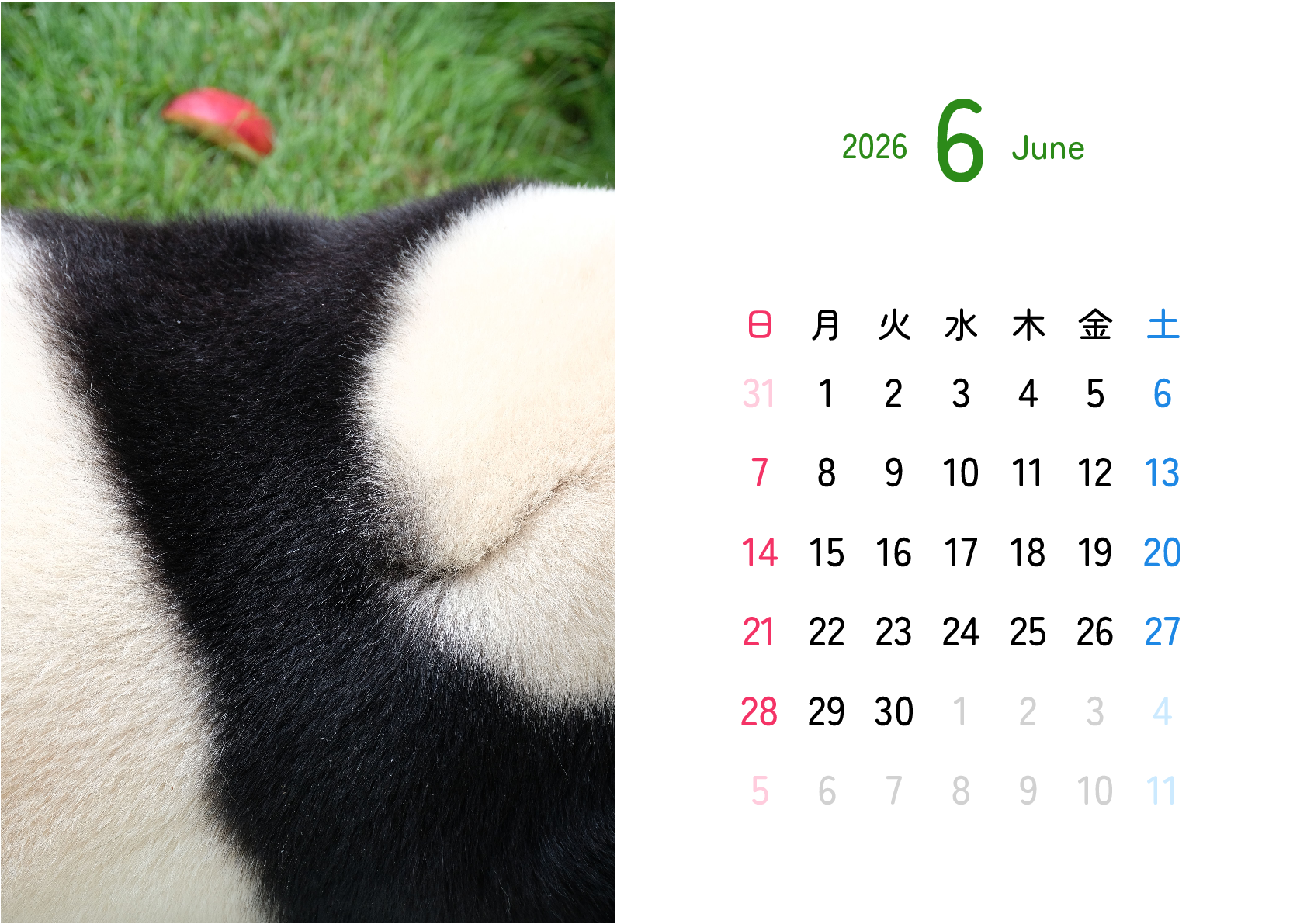 A判（A4,A5 など）,横向き,１ヶ月,日曜始まり,写真入り