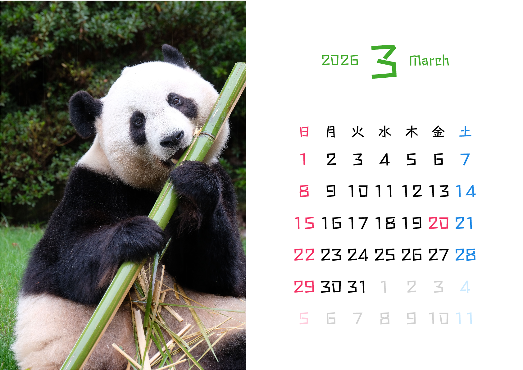 A判（A4,A5 など）,横向き,１ヶ月,日曜始まり,写真入り