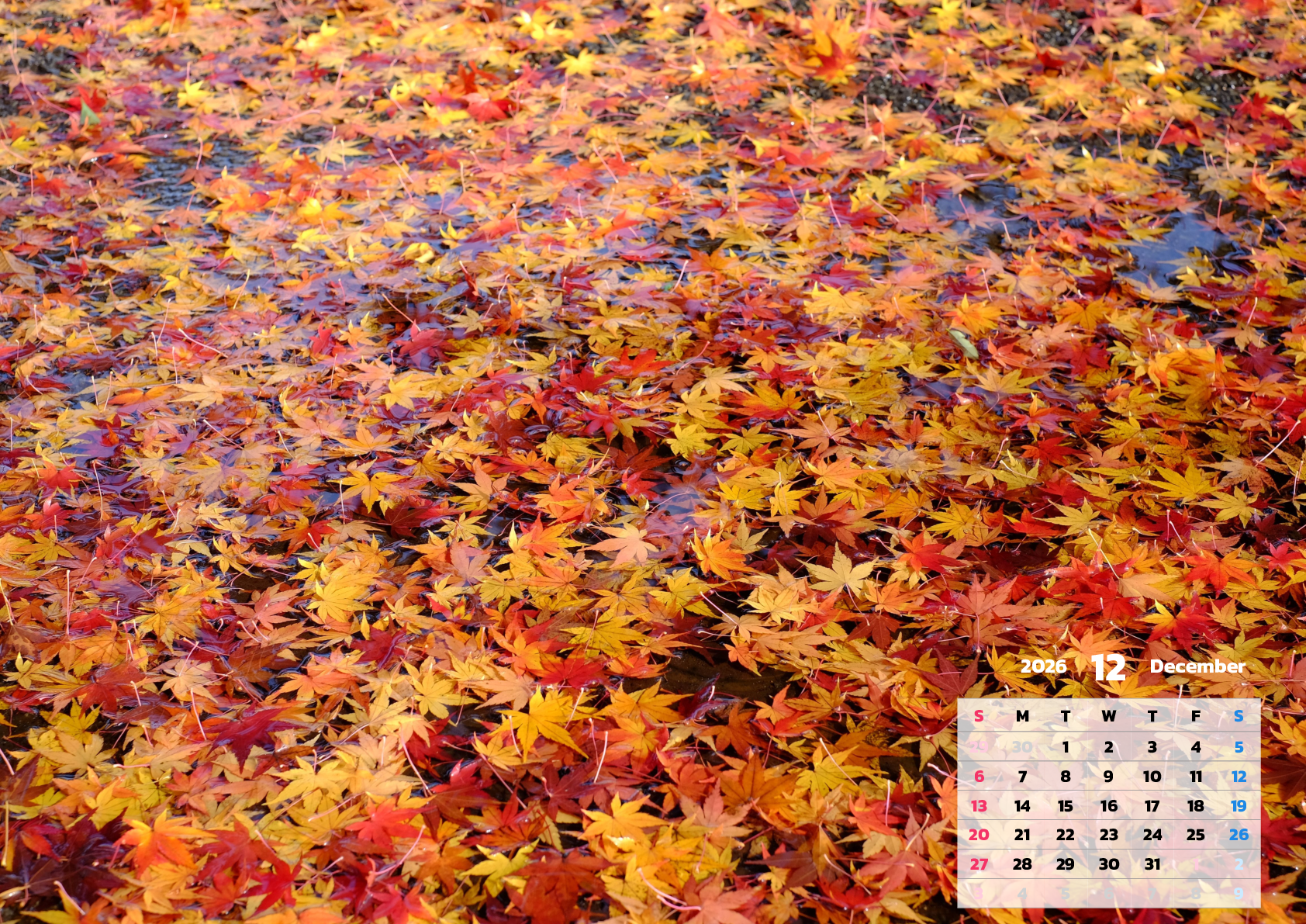 A判（A4,A5 など）,横向き,１ヶ月,日曜始まり,背景全面写真入り