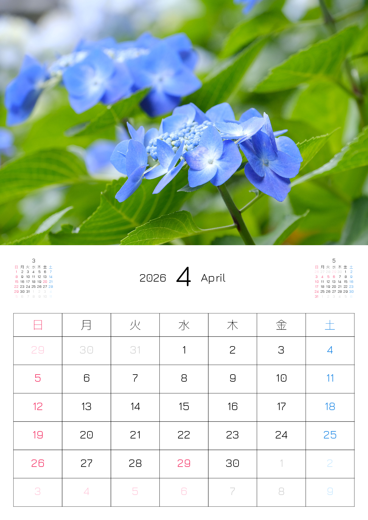 A判（A4,A5 など）,縦向き,１ヶ月,日曜始まり,写真入り