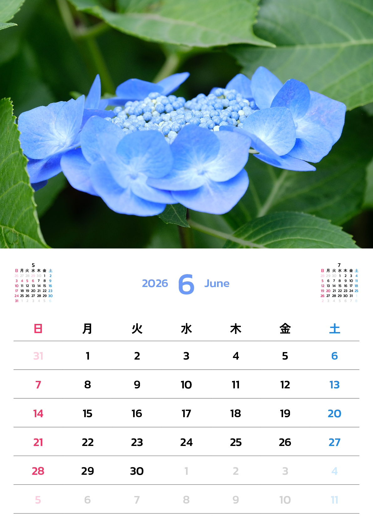 A判（A4,A5 など）,縦向き,１ヶ月,日曜始まり,写真入り