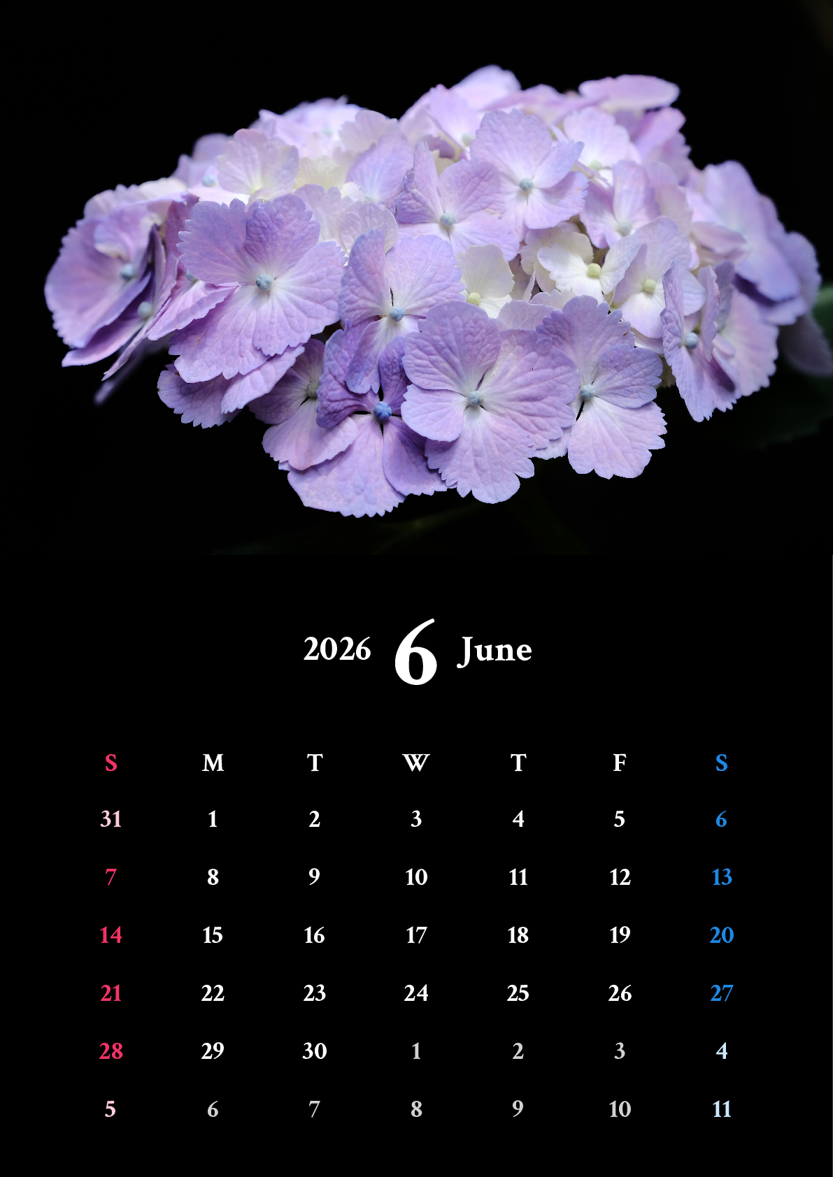 A判（A4,A5 など）,縦向き,１ヶ月,日曜始まり,背景色設定,写真入り