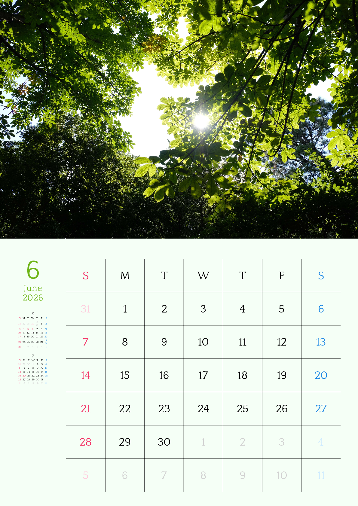 A判（A4,A5 など）,縦向き,１ヶ月,日曜始まり,背景色設定,写真入り