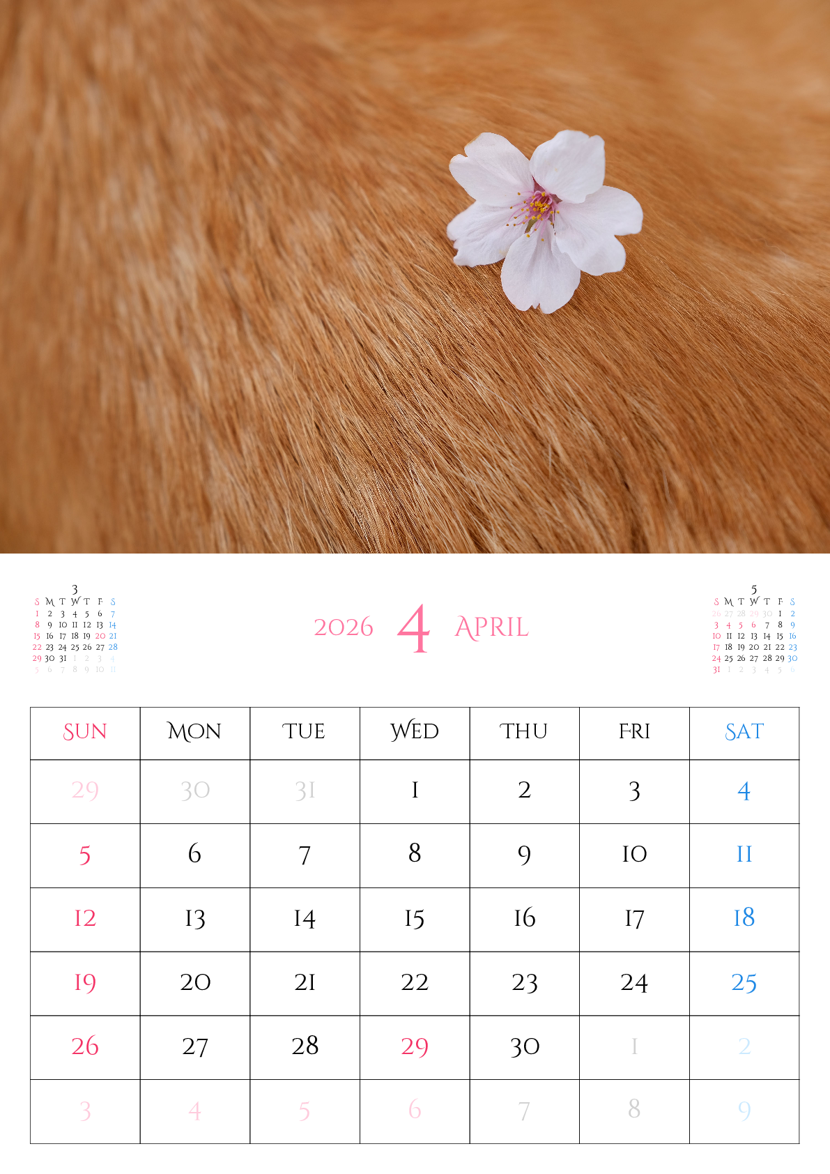 A判（A4,A5 など）,縦向き,１ヶ月,日曜始まり,写真入り