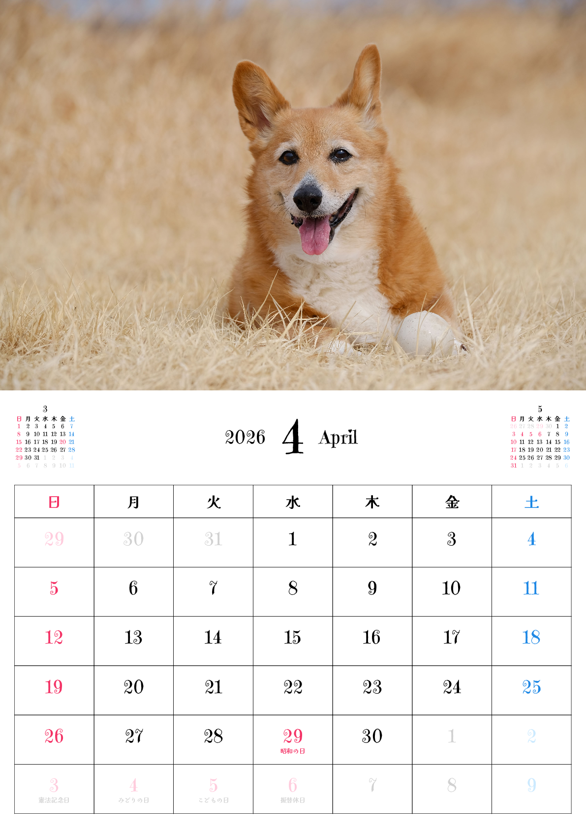 A判（A4,A5）,縦向き,１ヶ月,日曜始まり,祝日名入り,写真入り