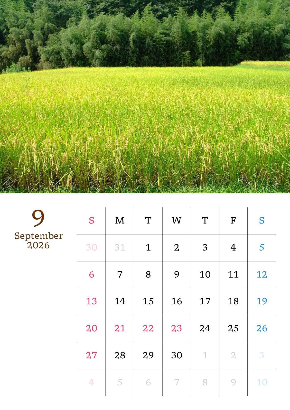 A判（A4,A5）,縦向き,１ヶ月,日曜始まり,写真入り