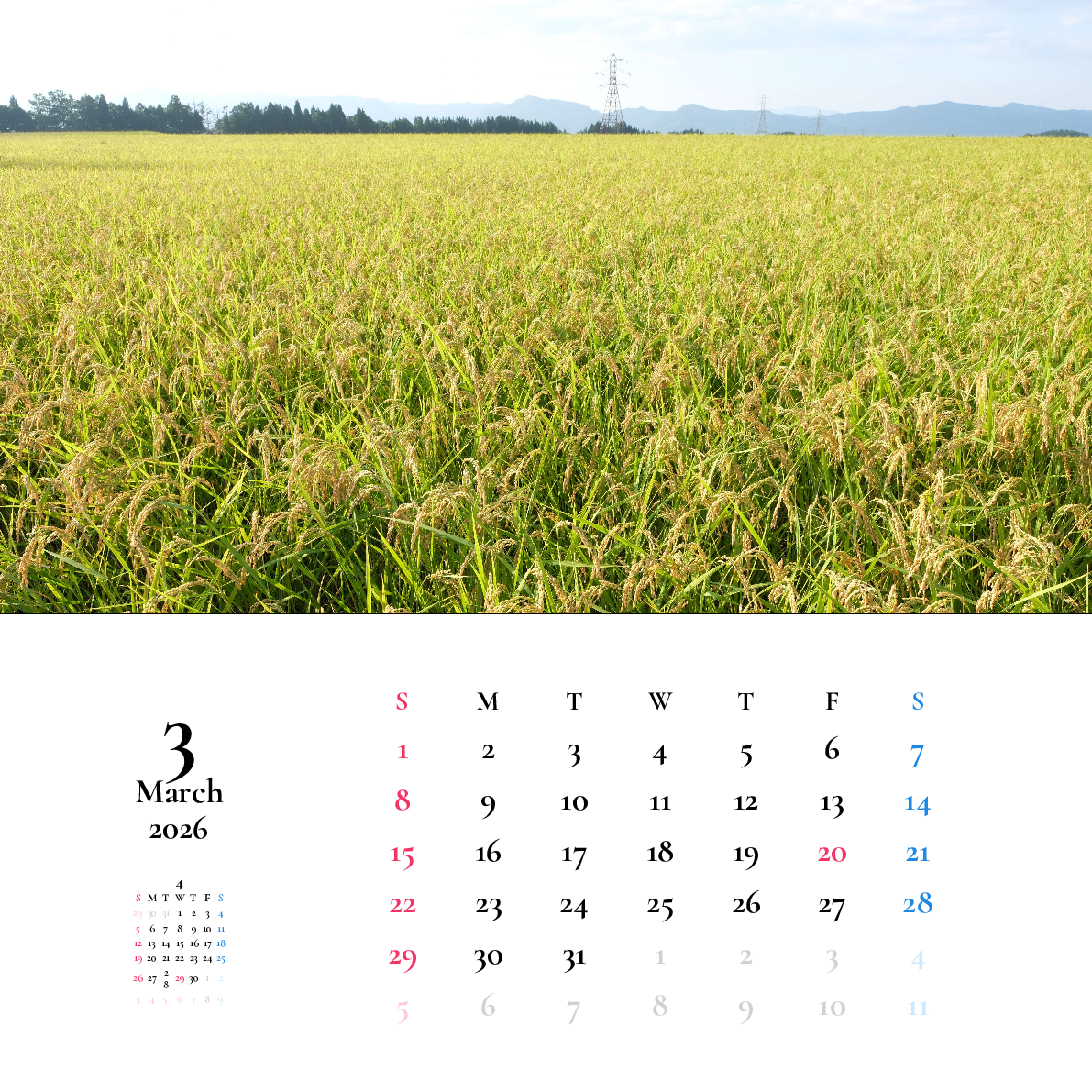 CD・正方形,縦向き,１ヶ月,日曜始まり,写真入り