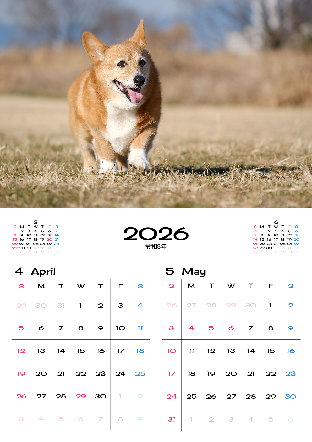 A判（A4,A5）,縦向き,２ヶ月,日曜始まり,写真入り