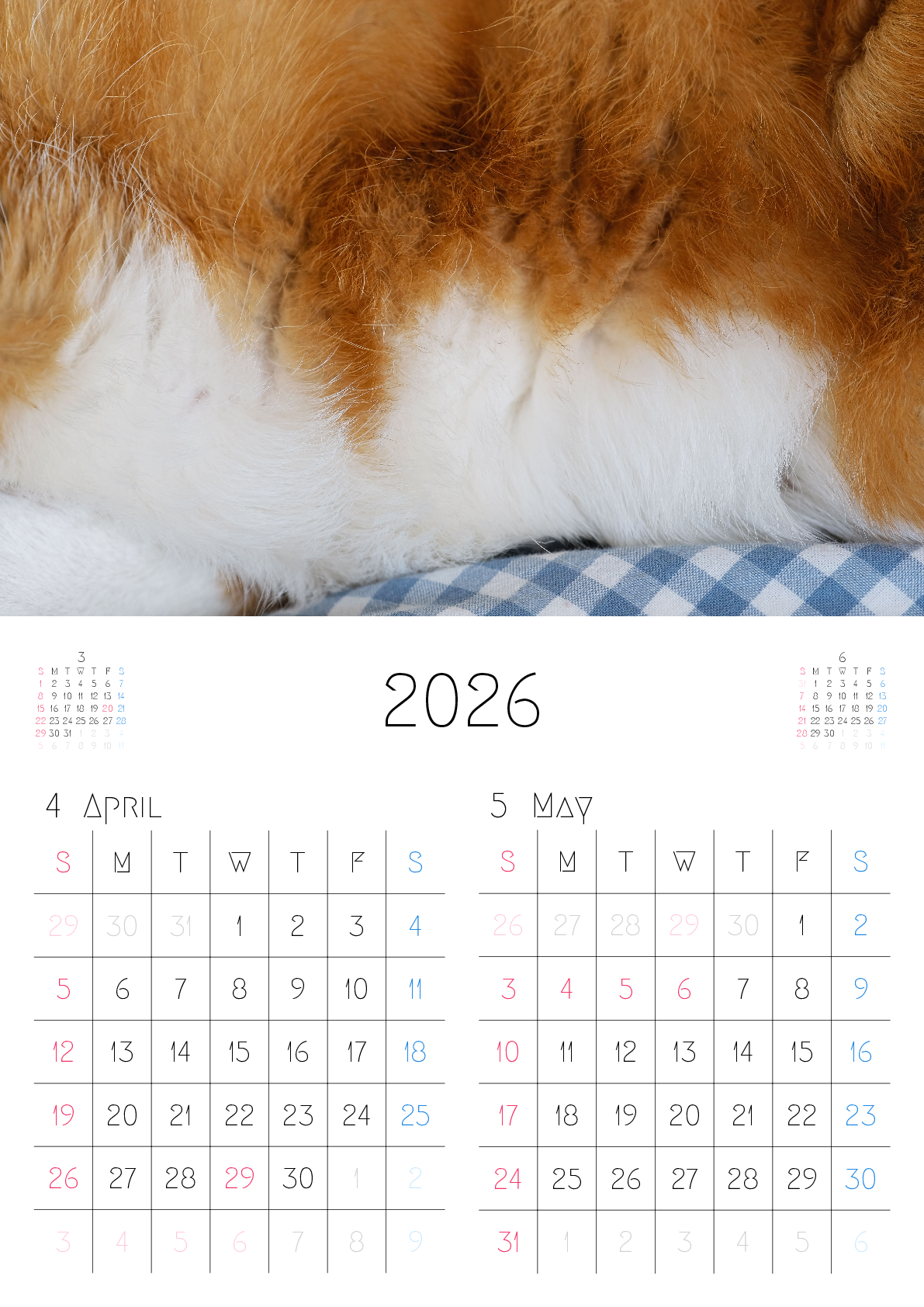 A判（A4,A5）,縦向き,２ヶ月,日曜始まり,写真入り