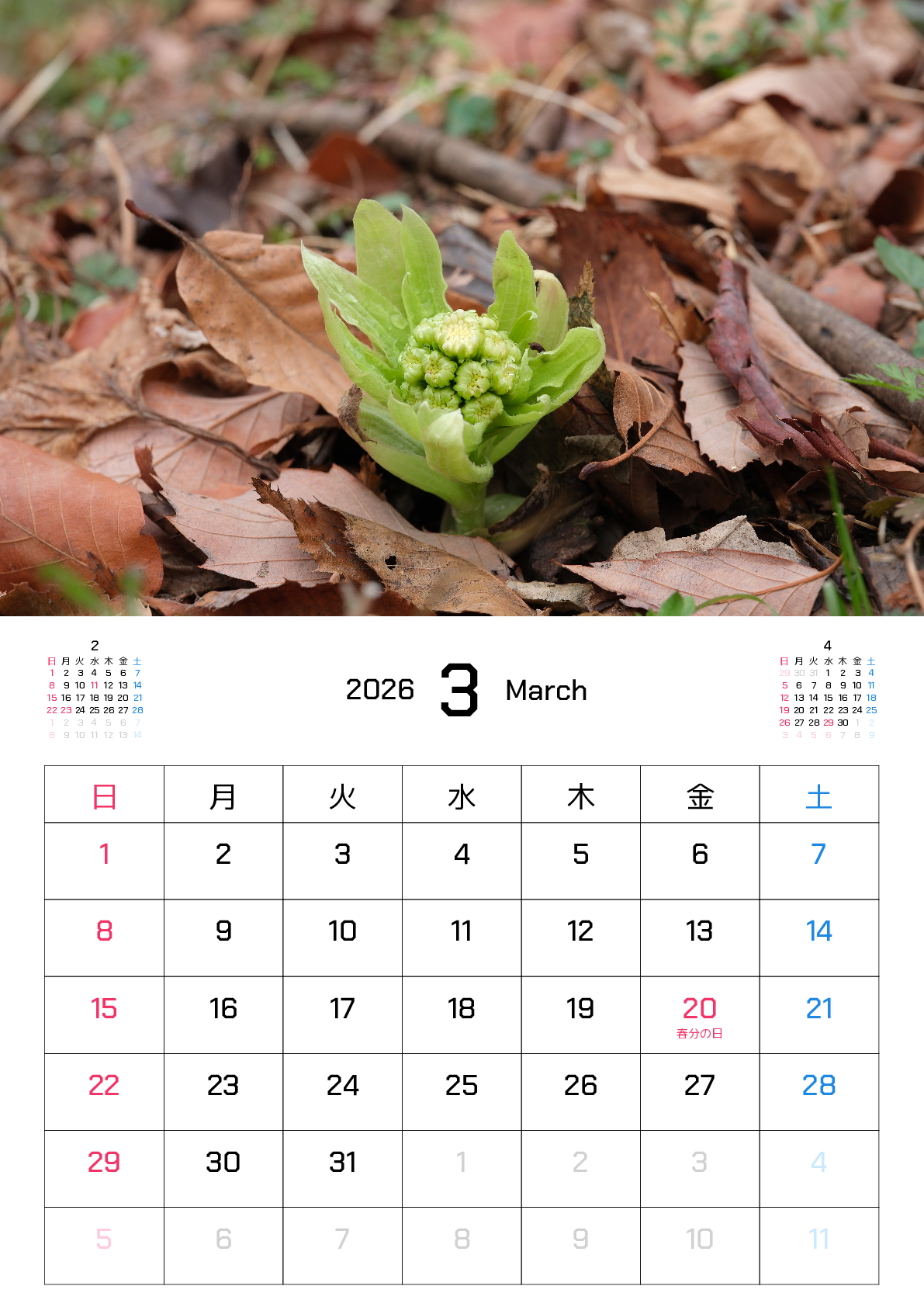 A判（A4,A5）,縦向き,１ヶ月,日曜始まり,祝日名入り,写真入り