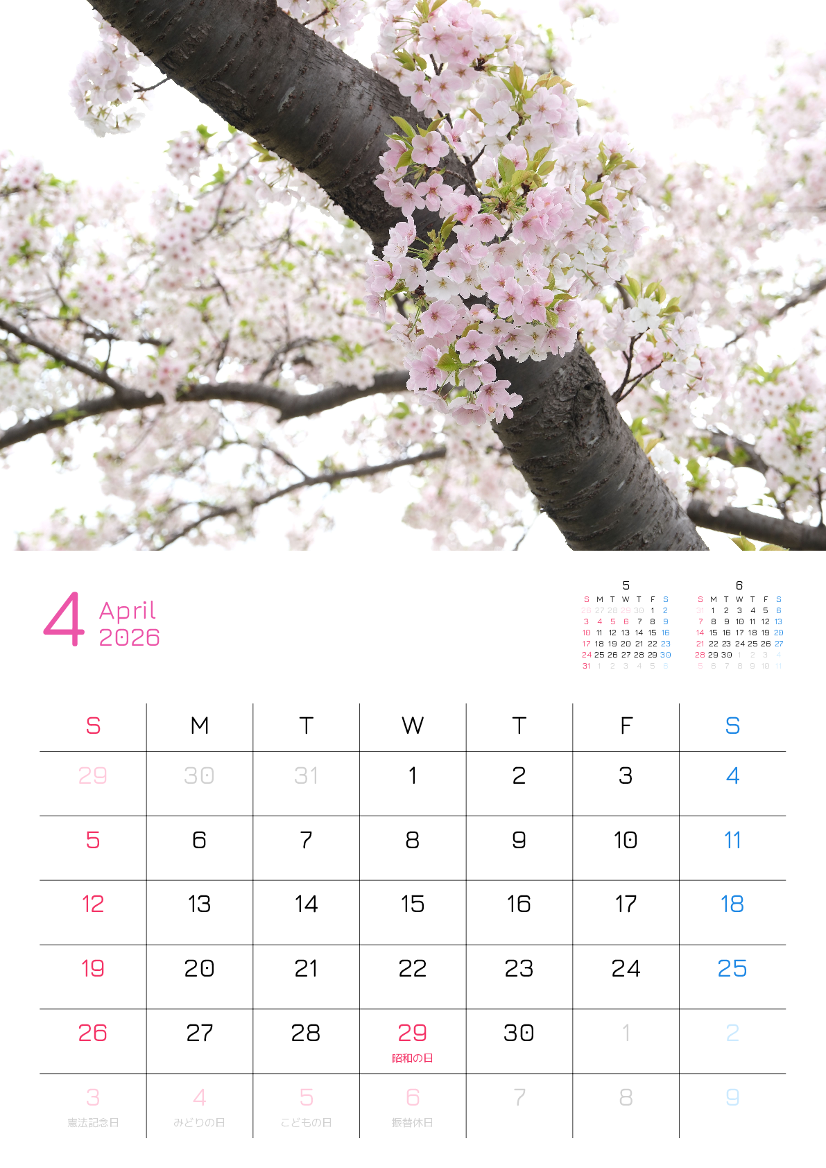 A判（A4,A5）,縦向き,１ヶ月,日曜始まり,祝日名入り,写真入り