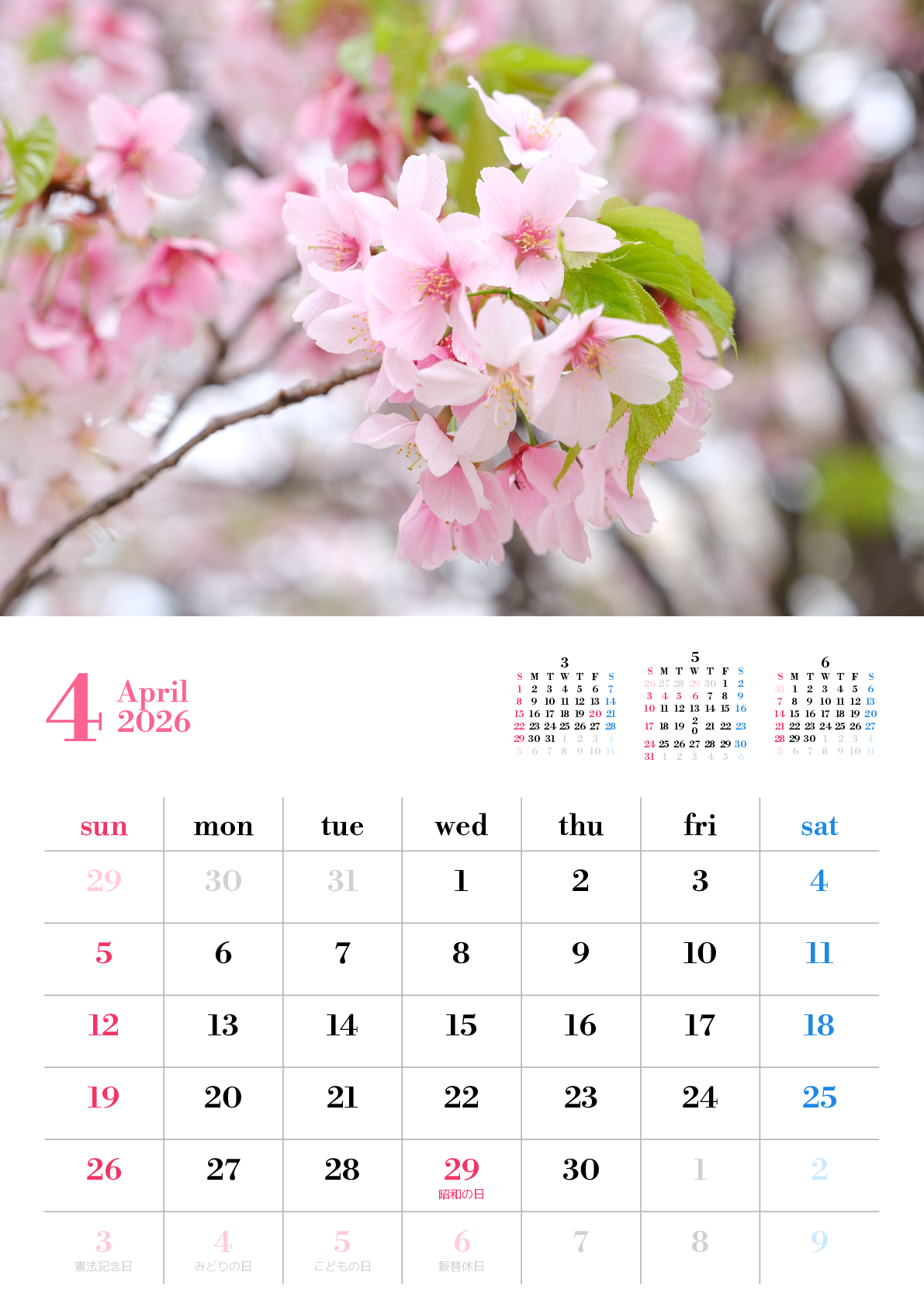 A判（A4,A5）,縦向き,１ヶ月,日曜始まり,祝日名入り,写真入り