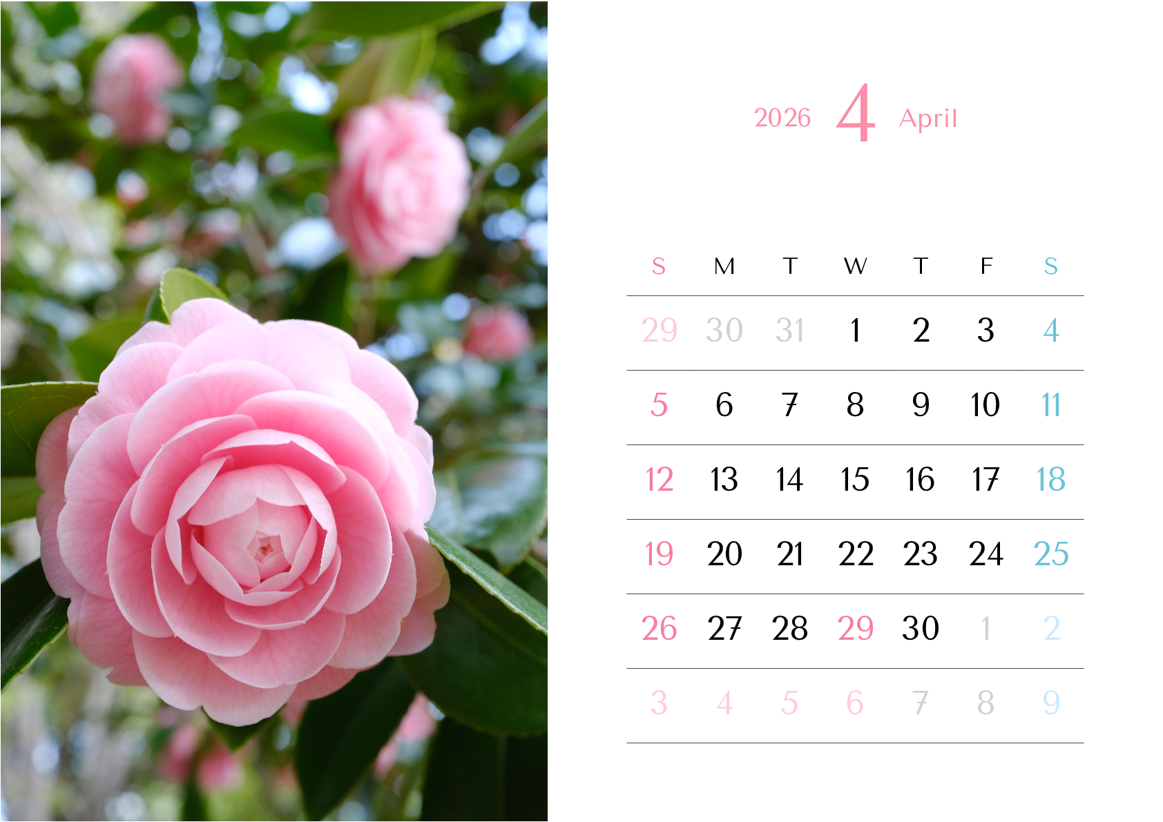 A判（A4,A5）,横向き,１ヶ月,日曜始まり,写真入り