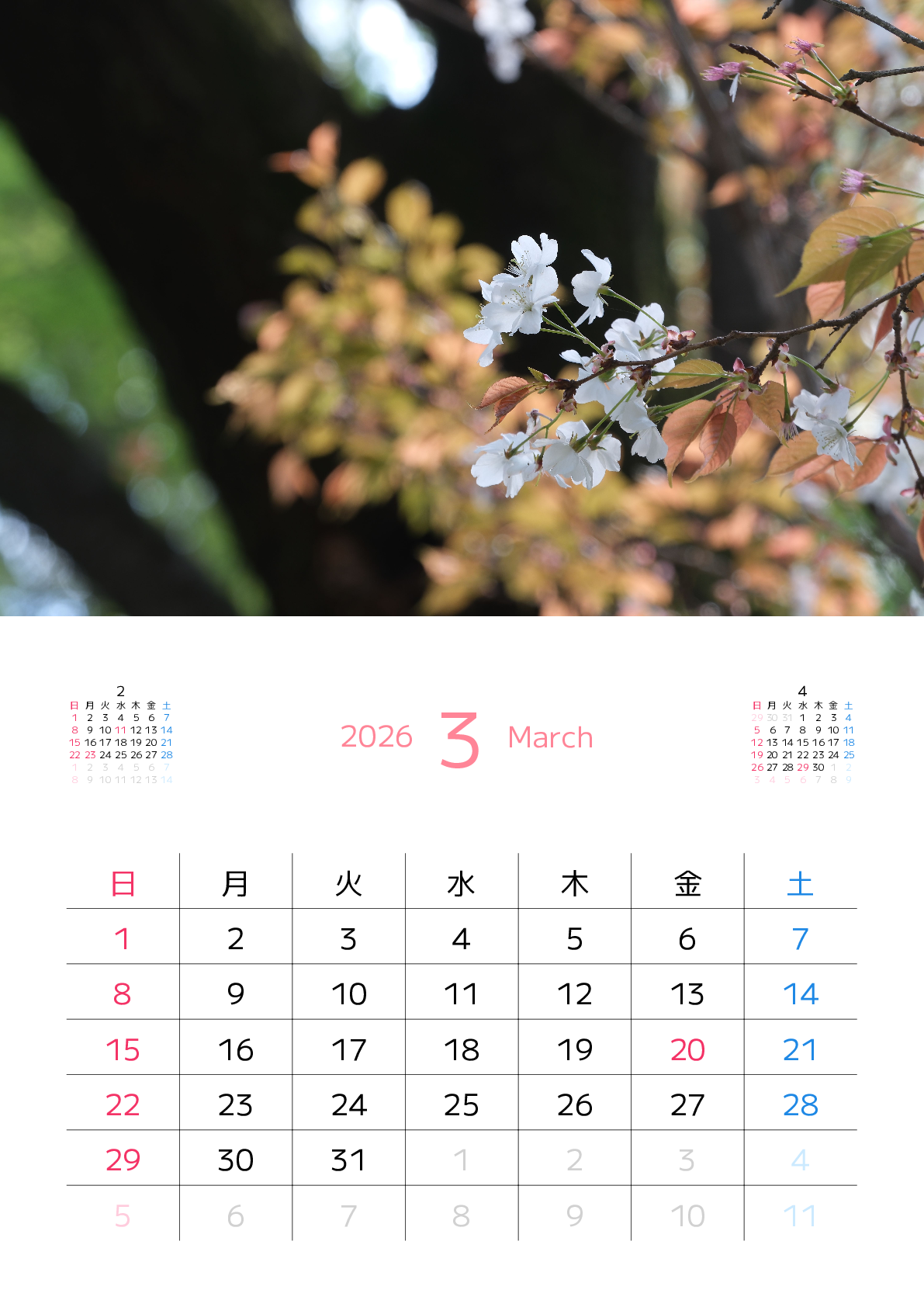 A判（A4,A5）,縦向き,１ヶ月,日曜始まり,写真入り