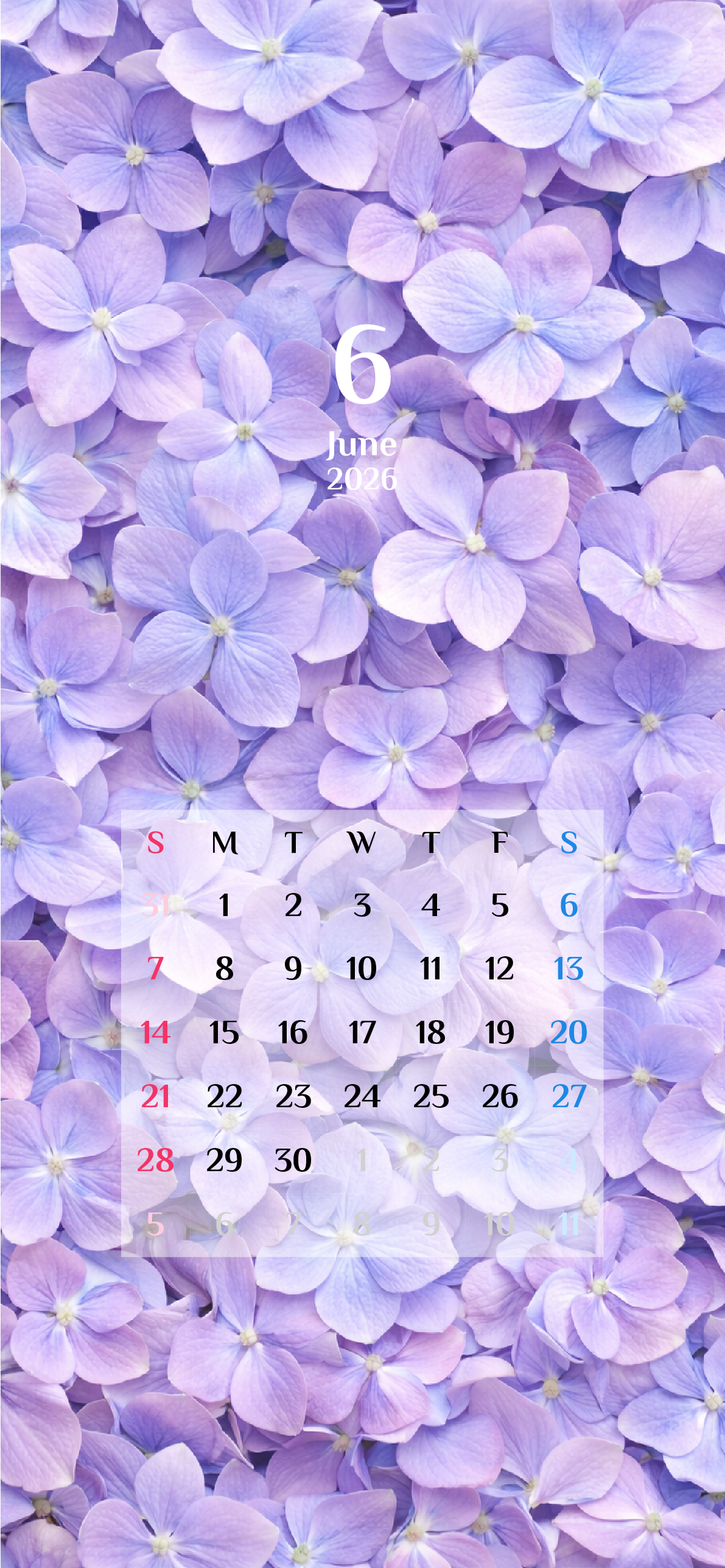 iPhone 12,12 Pro,13,13 Pro, 14, 14 Pro,縦向き,１ヶ月,日曜始まり,背景全面写真入り