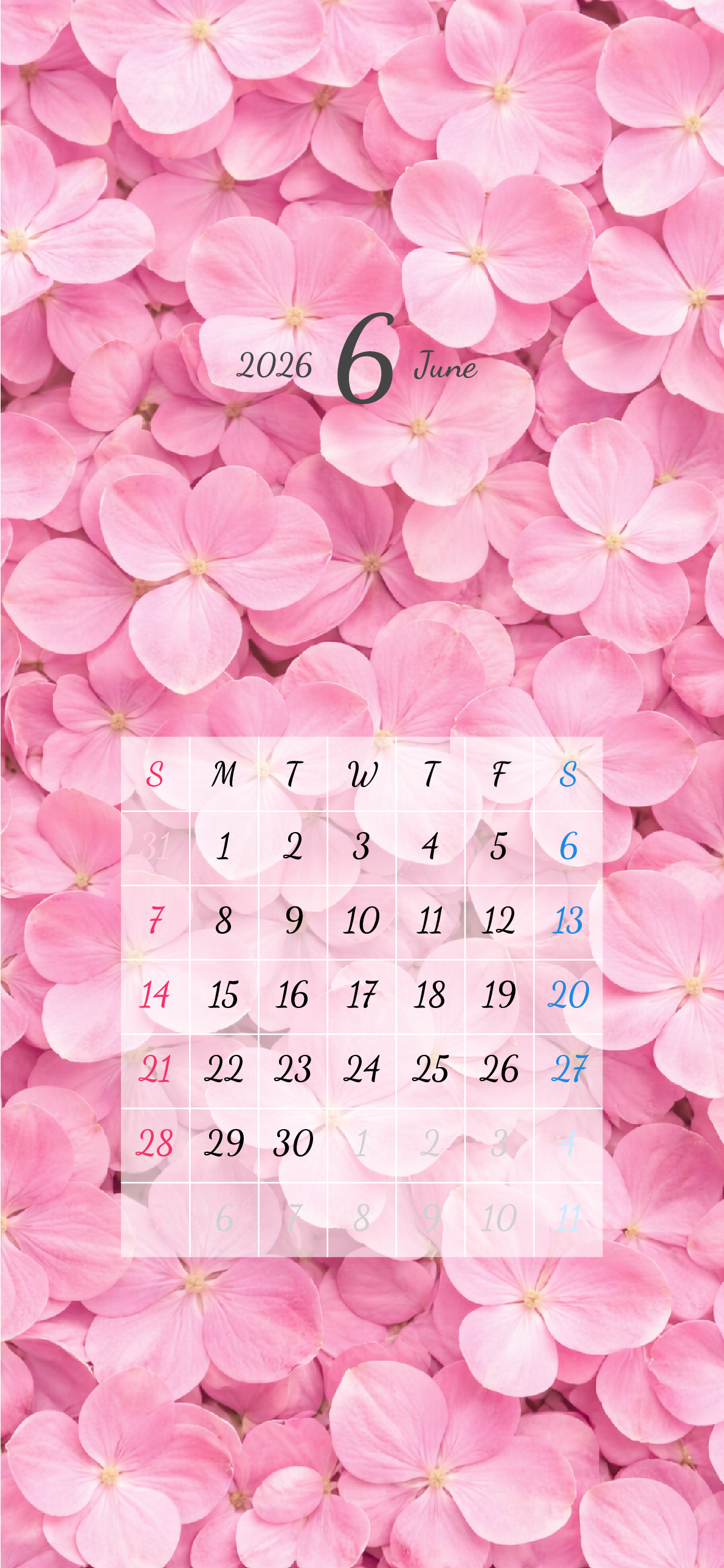 iPhone 12,12 Pro,13,13 Pro, 14, 14 Pro,縦向き,１ヶ月,日曜始まり,背景全面写真入り