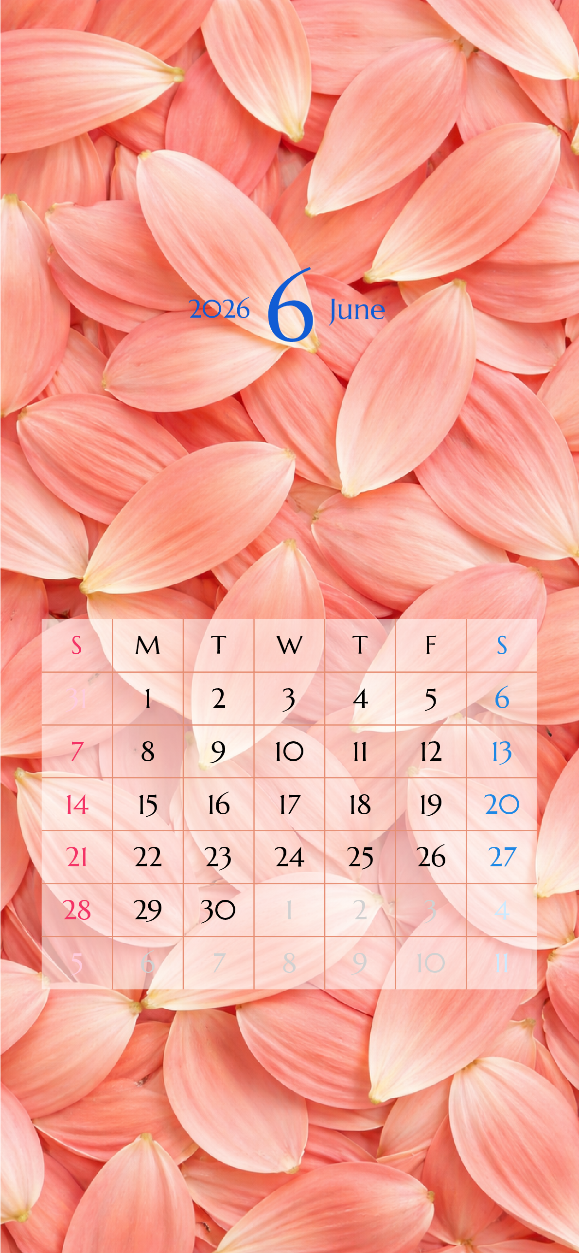 iPhone 12,12 Pro,13,13 Pro, 14, 14 Pro,縦向き,１ヶ月,日曜始まり,背景全面写真入り