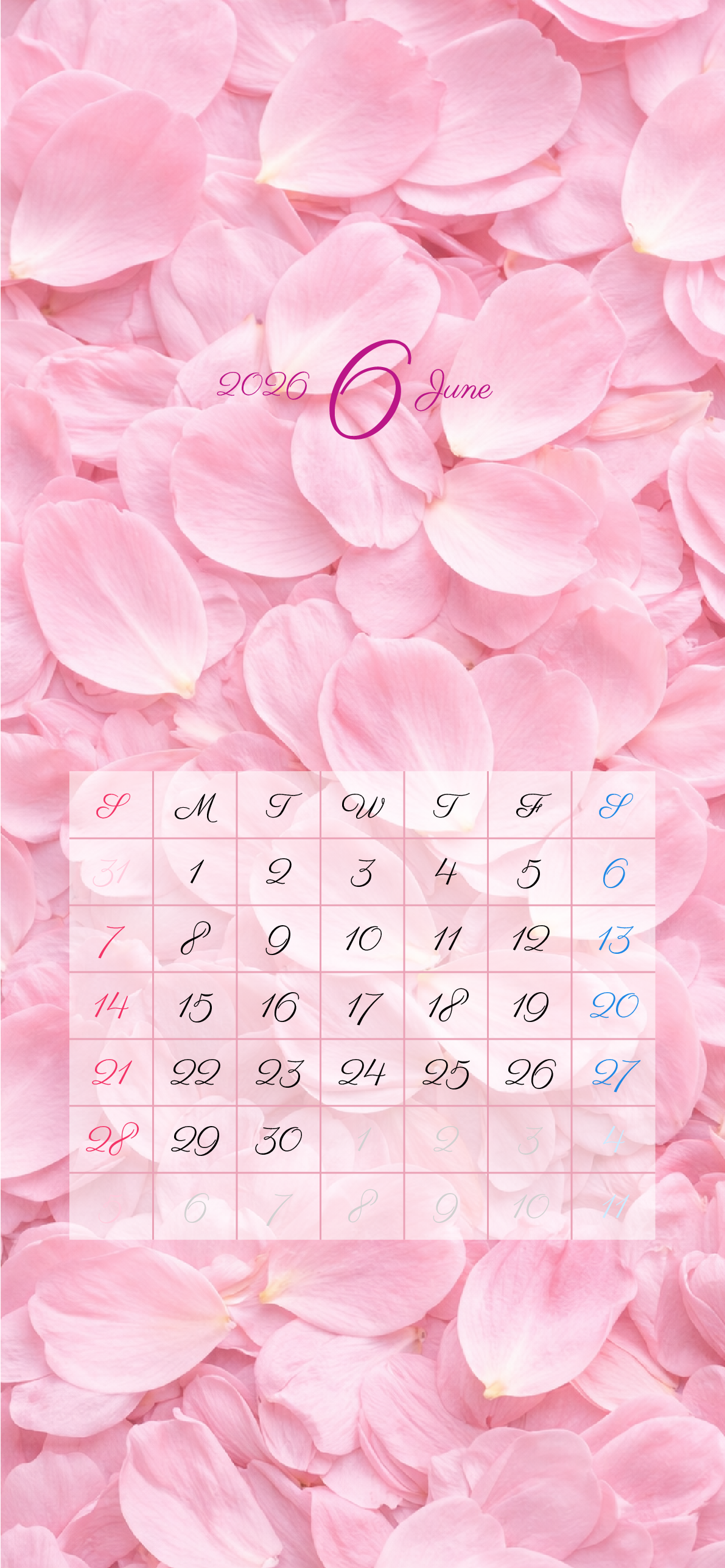 iPhone 12,12 Pro,13,13 Pro, 14, 14 Pro,縦向き,１ヶ月,日曜始まり,背景全面写真入り