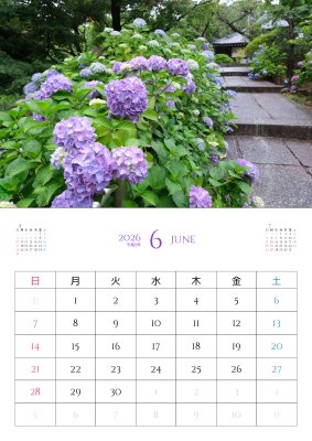 カレンダー No.7 紫陽花