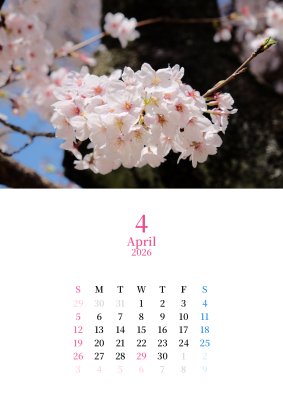 カレンダー No.5 桜、春。