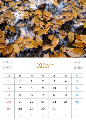 カレンダー No.15 秋、落ち葉