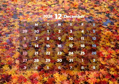 カレンダー No.219 紅葉、秋、落ち葉