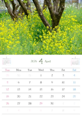 カレンダー No.20 春、菜の花