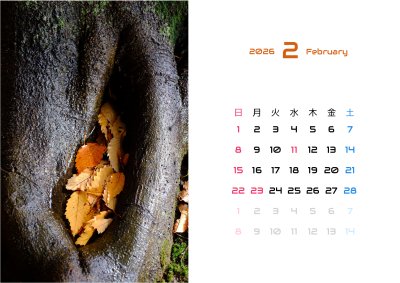 カレンダー No.8 秋、落ち葉