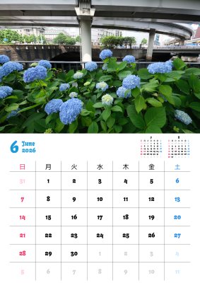 カレンダー No.9 東京都内の紫陽花
