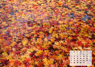 背景全面画像のカレンダーサンプル