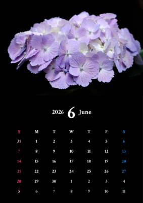 カレンダー No.2 