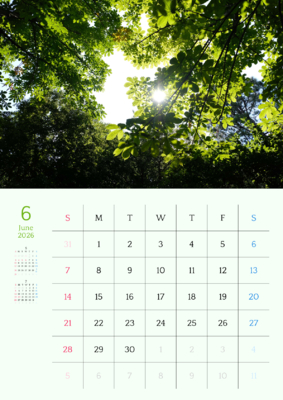 カレンダー No.19 