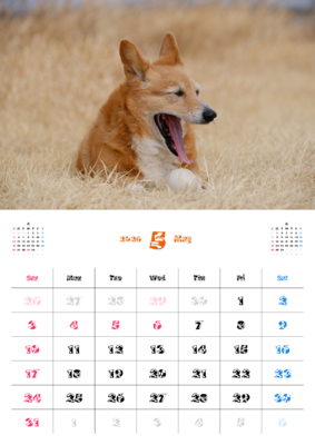 カレンダー No.11 お散歩中のコーギー。ご家族の、ワンちゃん、ネコちゃんカレンダー、お勧めです。