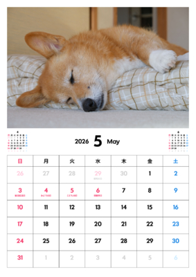 カレンダー No.28 お昼寝中のコーギー。<br>可愛い、ワンちゃん、ニャンちゃんのカレンダー、お勧めです。
