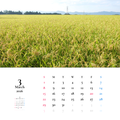 カレンダー No.20 