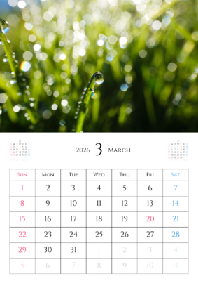 カレンダー No.37 