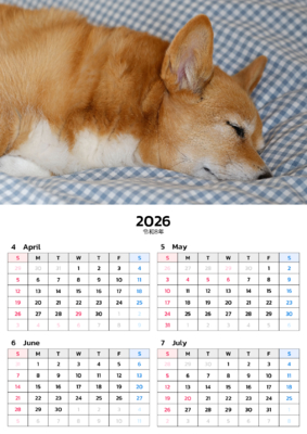 カレンダー No.4 お昼寝中のコーギー。ワンちゃん、ニャンちゃんのカレンダー、お勧めです。