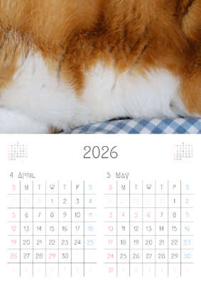 カレンダー No.3 お昼寝中のコーギー。ワンちゃん、ニャンちゃんのカレンダー、お勧めです。