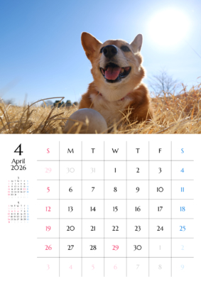 カレンダー No.2 コーギーとお散歩中。ワンちゃん、ニャンちゃんのカレンダー、お勧めです。