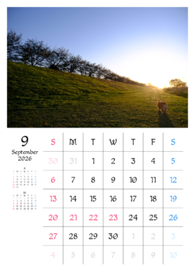 カレンダー No.1 コーギーと夕方のお散歩中。ワンちゃん、ニャンちゃんのカレンダー、お勧めです。