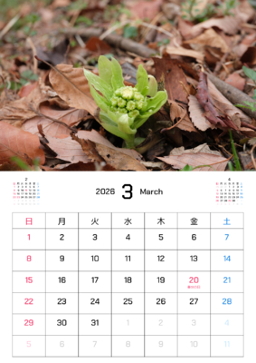 カレンダー No.19 