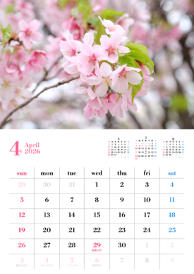 カレンダー No.20 満開の桜の花