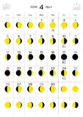 カレンダー No.12 満月・月齢・月相・朔望月カレンダーです。<br>  毎日の月の満ち欠けがわかります。