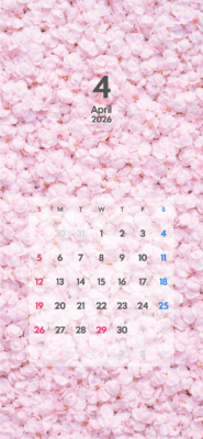カレンダー No.33 花びらが敷き詰められているカレンダー。<br>桜。<br>スマホ壁紙用です。